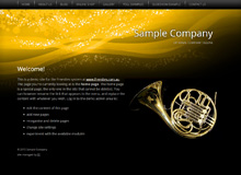 Carbonated_Pineapple