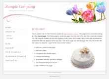 Wedding_Kaleidoscope